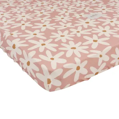 Plahta Blush Daisies Roza S