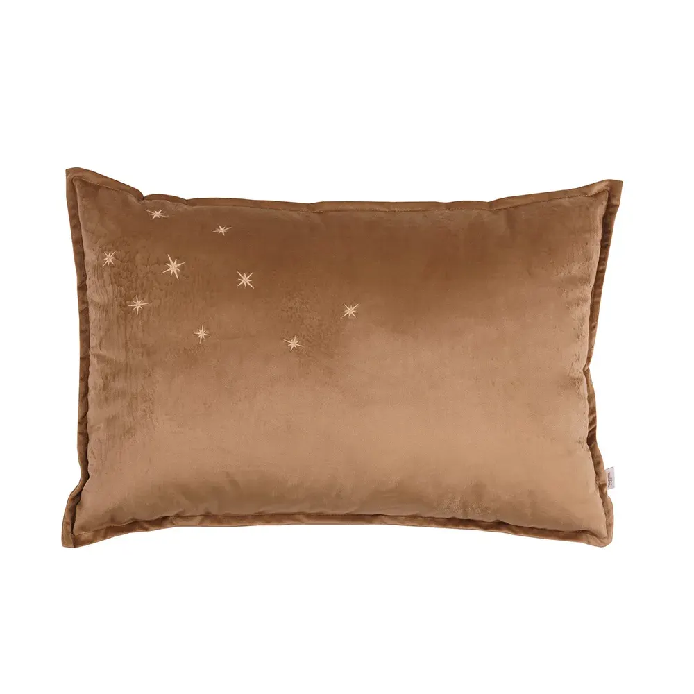 Pillow Delux Golden Bronze