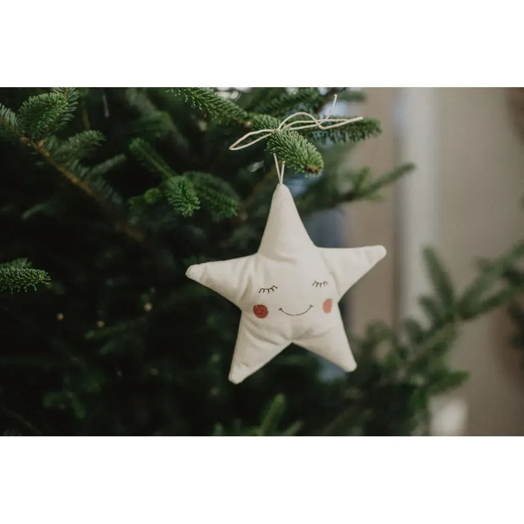 Cuddly Toy Star