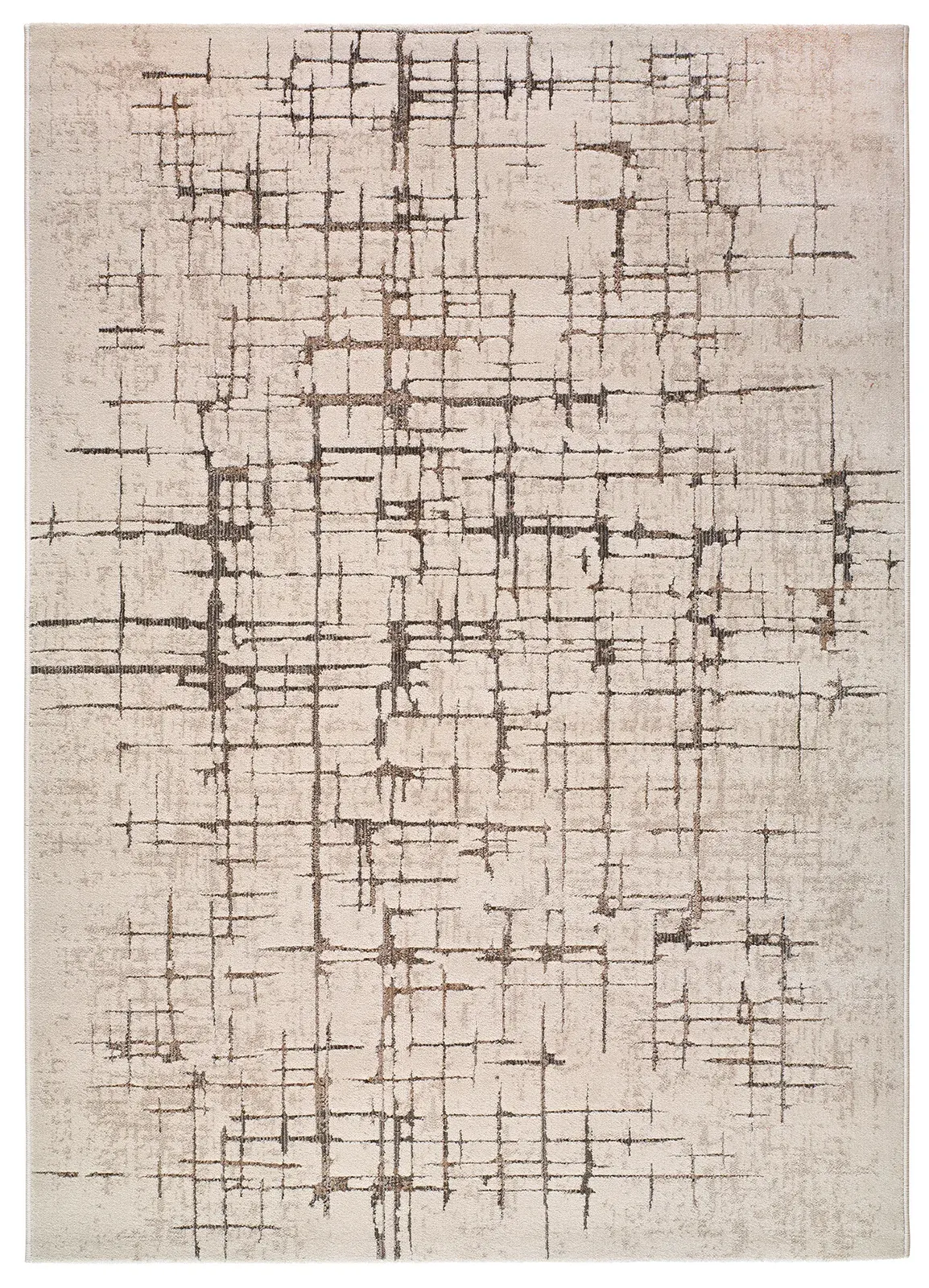 080×120 cm