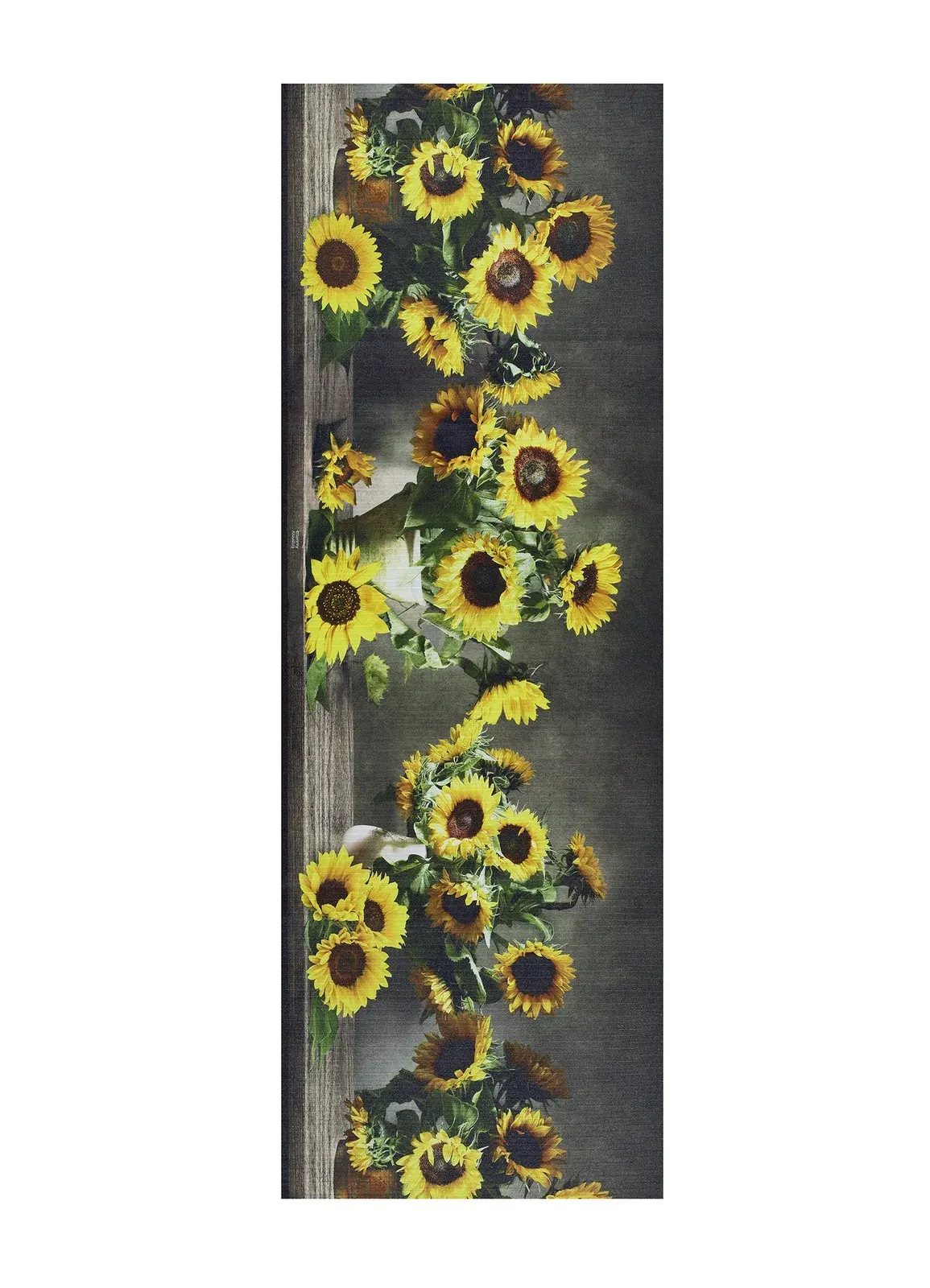 052×100 cm
