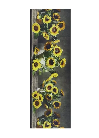 052×100 cm