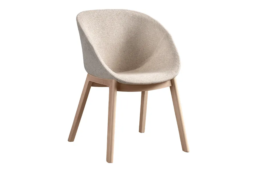 Coquille stolica — galerija 1